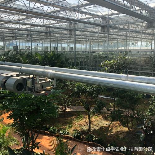 700元/平方米撬动高端定制 肯执智能大棚玻璃如何重塑科技农业新标杆