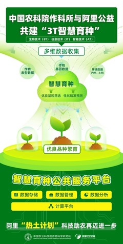 中国作物育种迎来新希望 3T智慧育种提供强力技术支持