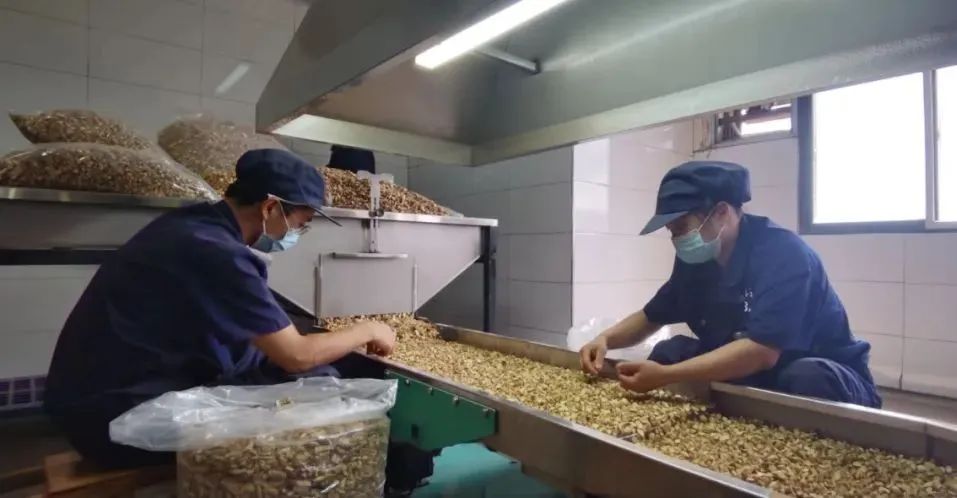 碧江 着力推动“三农”工作高质量发展，元农科技助力乡村振兴